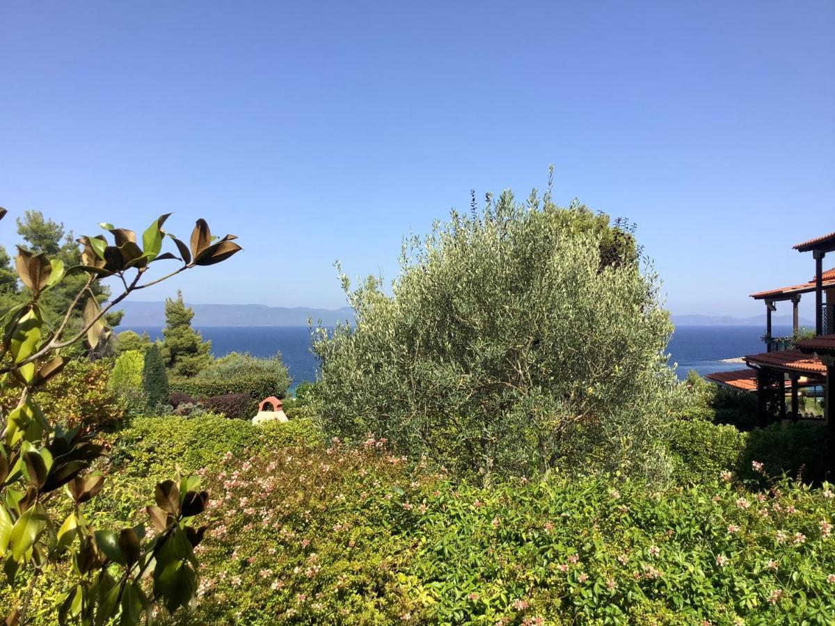 Amazing Villa With Views Sea In Paliouri Dış mekan fotoğraf
