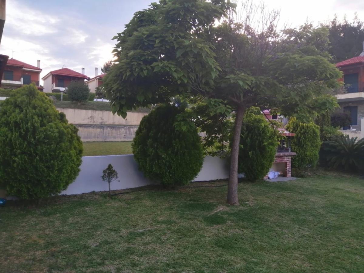 Amazing Villa With Views Sea In Paliouri Dış mekan fotoğraf